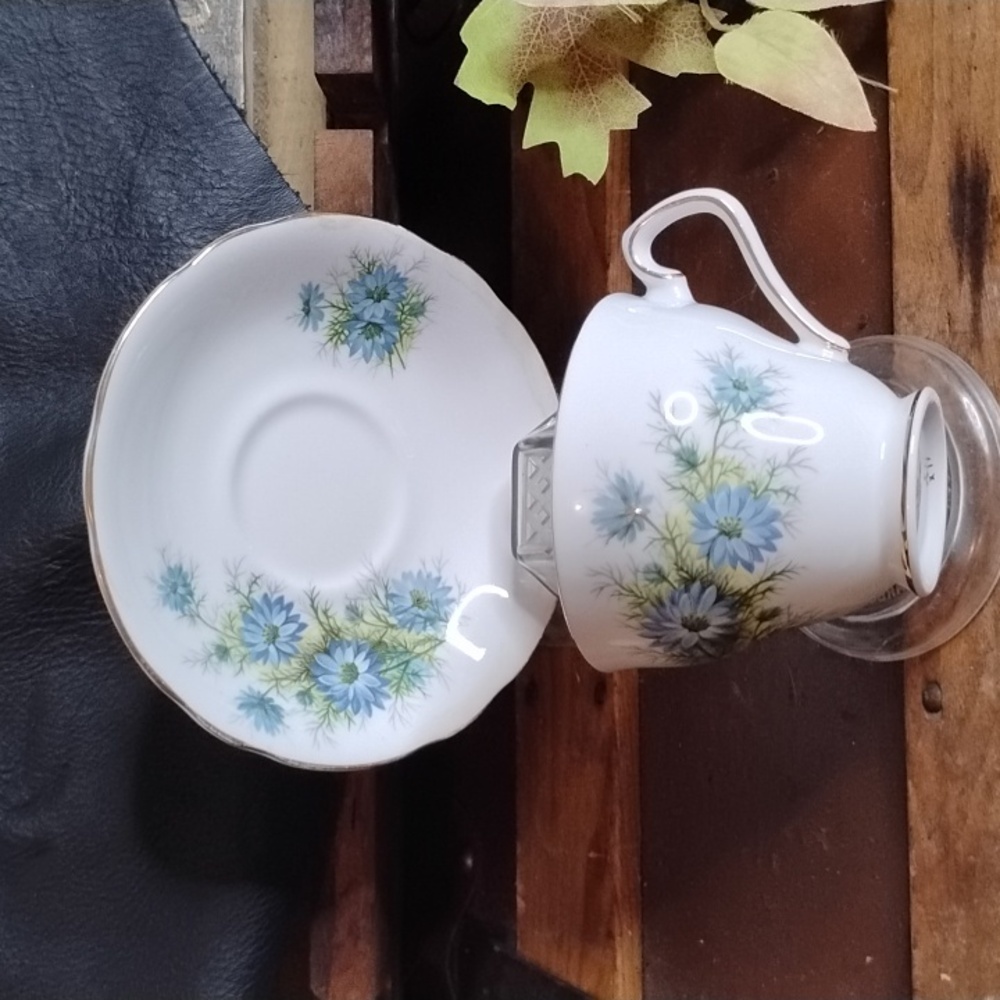 Royal Windsor Fine Bone China Tea Cup And Saucer with Blue Flowers